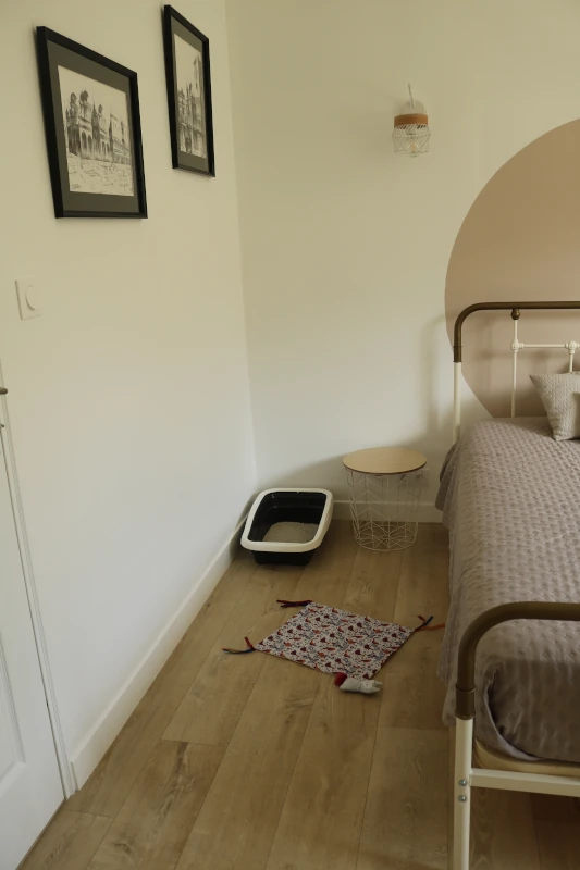 Chambre Alba : tête de lit et coin litière avec cadres muraux — pension chat et lapin à Nîmes