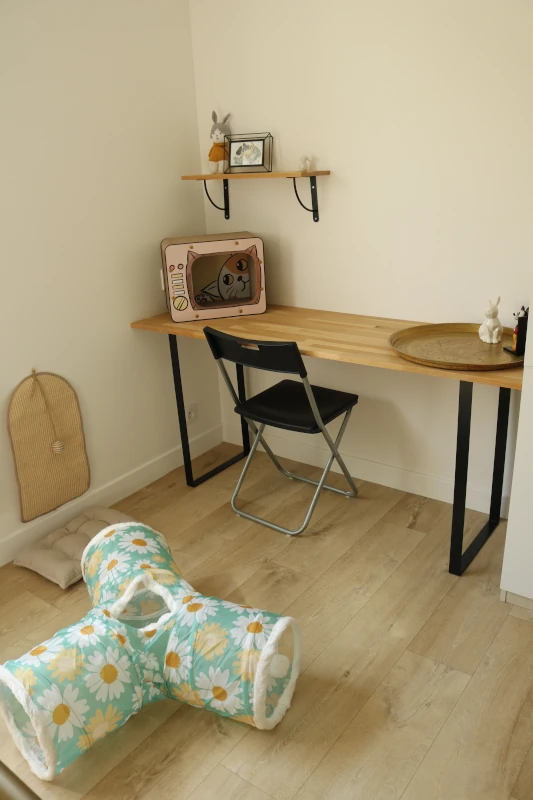 Chambre Alba : niche TV vintage et tunnel de jeu fleuri — pension chat et lapin à Nîmes