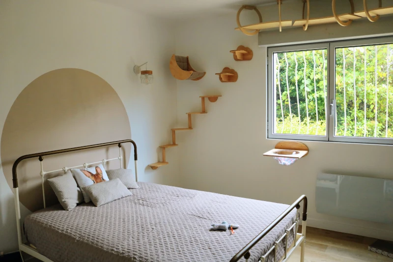 Chambre Alba : lit en fer forgé et parcours mural pour chat avec étagères en bois et hamac — pension chat et lapin à Nîmes