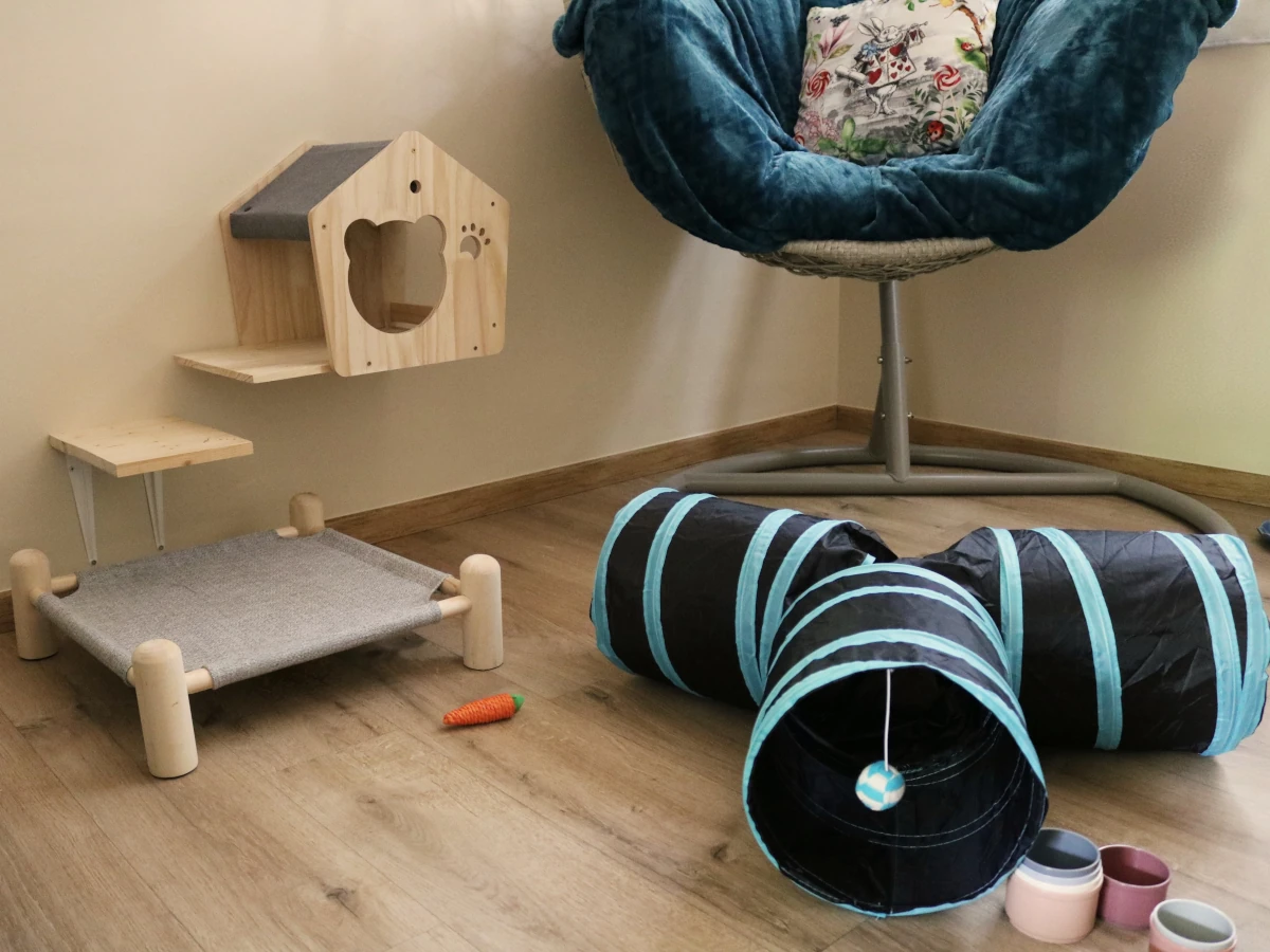 Chambre Calidà : cabane perchée, chaise œuf et tunnel de jeu — pension chat et lapin à Nîmes