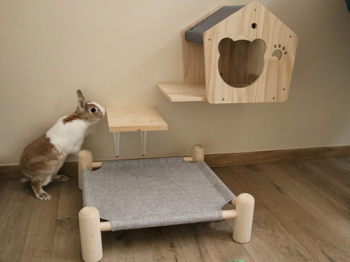 Chambre Calidà : lapin jouant à grimper à la cabane perchée — pension chat et lapin à Nîmes