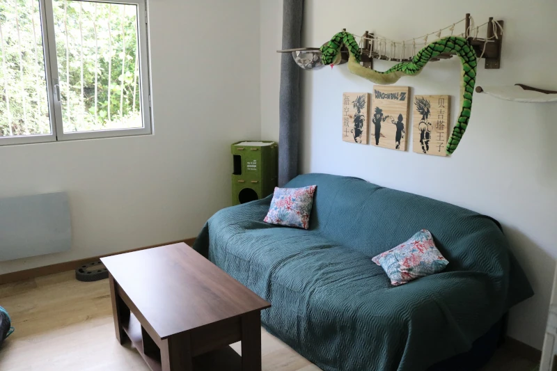 Chambre Jungle Geek : canapé cocooning sous le parcours mural feuillage et décor manga — pension chat à Nîmes