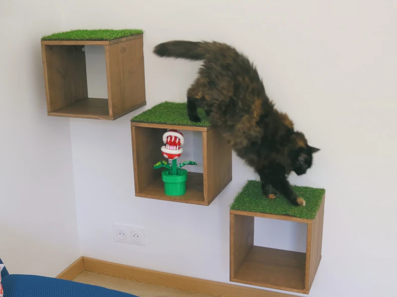 Chambre Jungle Geek : chat en équilibre sur les cubes muraux thème Mario — pension féline à Nîmes