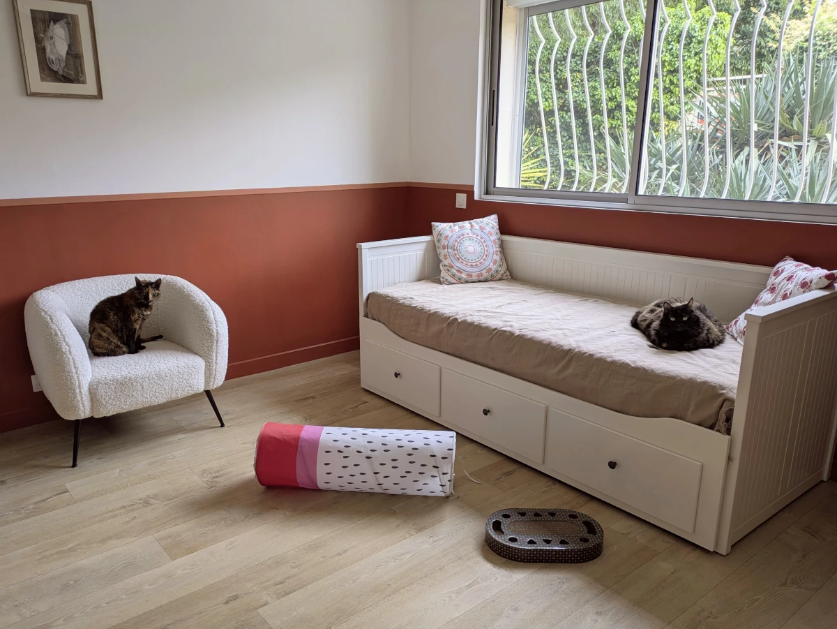 Chambre Solana : banquette cosy et fauteuil bouclette devant la fenêtre — pension chat et lapin à Nîmes